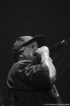 ice cube - 10.4.09 - fotografie 174 z 175